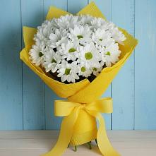 Букет цветов из:  Хризантемы в Дедовске
