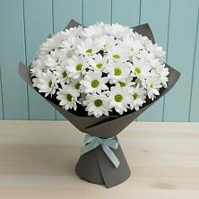 Букет цветов из:  Хризантемы в Дедовске