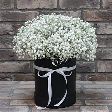 Цветочная композиция из Гипсофила в шляпной коробке в Дедовске